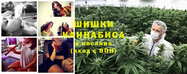 гидра Алексеевка
