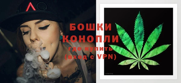 гидра Алексеевка