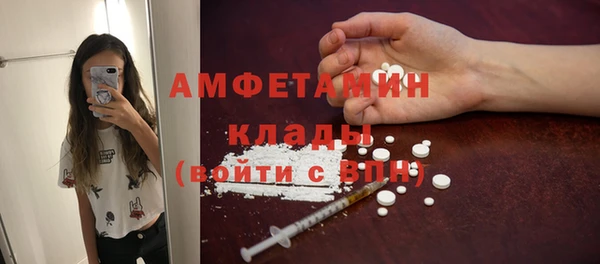 гидра Алексеевка