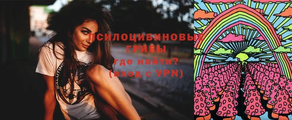 гидра Алексеевка